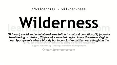 wilderness 뜻: 자연의 광활함 속에서 찾은 인간의 본질